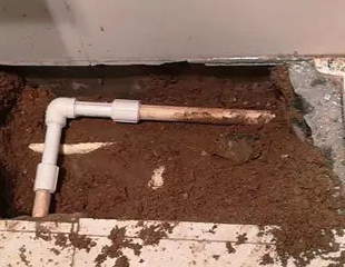 肥乡测漏水哪家好