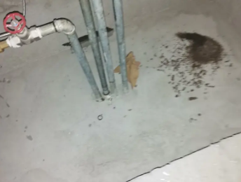 肥乡卫生间测漏水价格明细