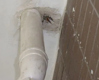 肥乡漏水检测哪家好